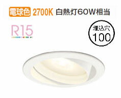 ǥå ˥С饤 OD361243MLR ŵ忧 鿧 100 Ǯ60W ɬ