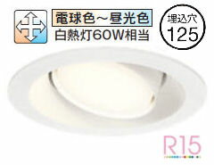 ǥå ˥С饤 OD361245BCR ĴĴ 鿧 Bluetooth 125 Ǯ60W ɬ