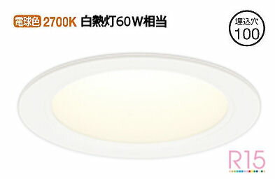 ǥå ϥ饤 OD361455R ŵ忧 鿧 100 Ǯ100W ɬ