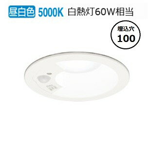 ǥå ʹ󥵡ե饤 OD361459R  鿧 100 Ǯ60W ɬ