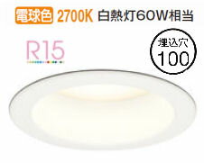 ǥå 饤 OD361473LDR ŵ忧 鿧 100 Ǯ60W ɬ