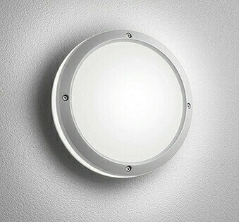 Niche, Picture - ※メーカー欠品中※オーデリック ポーチライト OG041633NCR 工事必要
