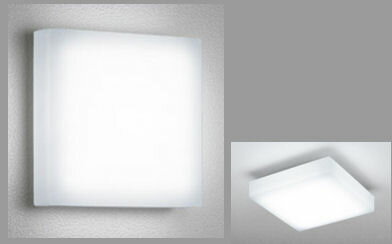 オーデリック 防雨防湿型器具 OG254307R 昼白色 高演色 FCL30W相当 工事必要