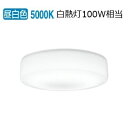オーデリック 防雨防湿型器具 OG254873R 昼白色 高演色 白熱灯100W相当 工事必要