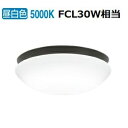 オーデリック 防雨防湿型器具 OW269014NR 昼白色 高演色 FCL30W相当 工事必要