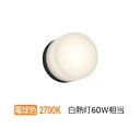 オーデリック 防雨防湿型器具 OW269048LR 電球色 高演色 白熱灯60W相当 工事必要