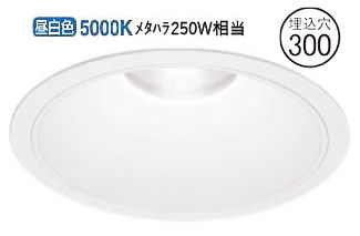ǥå 饤(Ÿ) XD301125 Ѳ ɬ