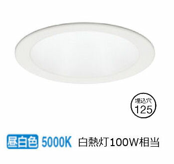 ǥå ϥ饤 OD361599R  鿧 125 Ǯ100W ɬ
