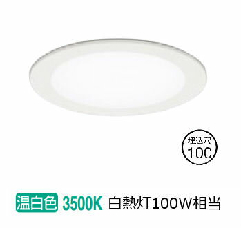 ǥå եåȥ饤 OD361604R  鿧 100 Ǯ100W ɬ