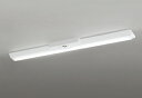 オーデリック 非常用照明器具(階段通路誘導灯兼用型) XR506002R1D 温白色 直付型 工事必要【北海道送料別途】(3)