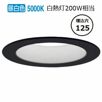 ѥʥ˥å 饤 200  Ĵ LGD6202NLB1 ɬ
