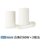 パナソニック スポットライト 屋内用 60形X2相当 昼白色 LGS1300NLE1 工事必要