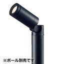 パナソニック ガーデンライト(ポール別売) LGW40161LE1 工事必要