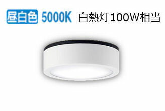 パナソニック 軒下用ダウンシーリング 100形相当 昼白色 LGW51500LE1 工事必要 1