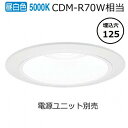 パナソニック ダウンライト(電源ユニット別売)350形Φ12550K NDN48505W 工事必要