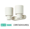 パナソニック 室内用スポットライト XAS1300VCE1(LGS9300+LLD2000VCE1) 工事必要