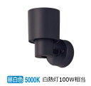 パナソニック 室内用スポットライト XAS3003NCE1(LGS9003+LLD4000NCE1) 工事必要