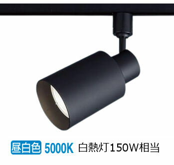 パナソニック 室内用スポットライト XAS5561NCC1(LGS9506+LLD5010NCC1) 工事必要 明るさフリー