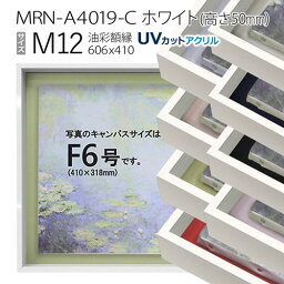 油彩額縁　MRN-A4019-C　ホワイト（高さ50mm）　M12 号(606×410)　13mmネジ付 （UVカットアクリル仕様・アルミ製・油絵用額縁・キャンバス用フレーム）