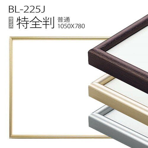 デッサン額縁：BL-225J 特全判(1050x780mm) 大サイズ アルミ製