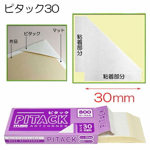 額装用品:PITACK30:ピタック30(ばら...の紹介画像2