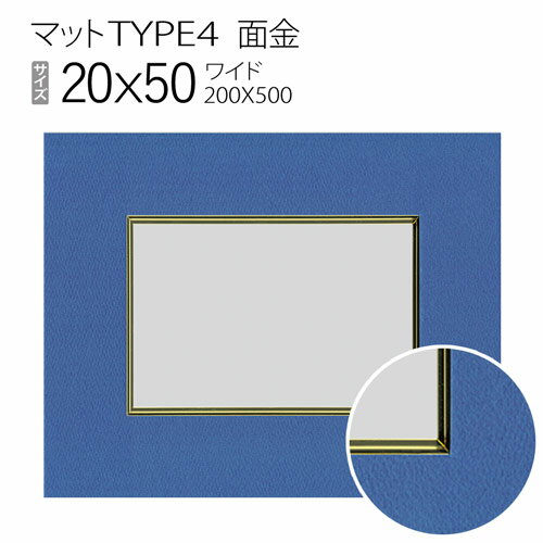 マットTYPE4[面金タイプ]　20×50（200×500mm）