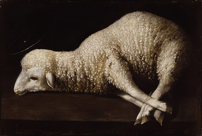   ʣ衡 Хڿλӡ(ʥǥ) դ ̵