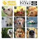 スマホケース 手帳型 耐衝撃 かわいい 動物 犬 白 ゴールデン ブラウン 大型 ふわふわ 子犬 散歩 自然 秋 ゴールデンレトリバー ドッグ ドッグラン ペット 家族 ファミリー 動物園 iPhone16 ケース iPhone16Pro iPhone15 iPhone15Pro iPhone14 14Pro iPhone13 Android