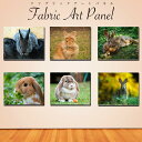 ウサギ 兎 動物 小動物 アニマル ラビット デザイン アート キャンバス パネル インテリア 雑貨 18×14 27×22 41×32cm モダン 雑貨 油絵 風景画 おしゃれ ウォールアート 額縁 壁飾り モダン 北欧 絵 玄関 絵画 ギフト プレゼント