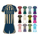 フットクラウン プラシャツ 上下セット レガシーラインデザイン サッカー フットサル ウェア 半袖 長袖 ジュニア メンズ 大きいサイズ