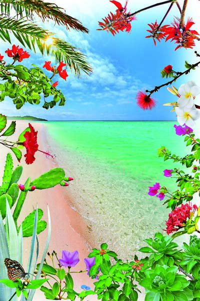 ポストカード 沖縄 波照間島 ニシ浜と花 風景 写真 プレゼント お礼 旅の思い出 お便り グリーティングカード メッセージカード 招待状 絵はがき 絵葉書 クリスマスカード 暑中見舞い 寒中見舞い 年賀状 礼状 挨拶状 PSC-197