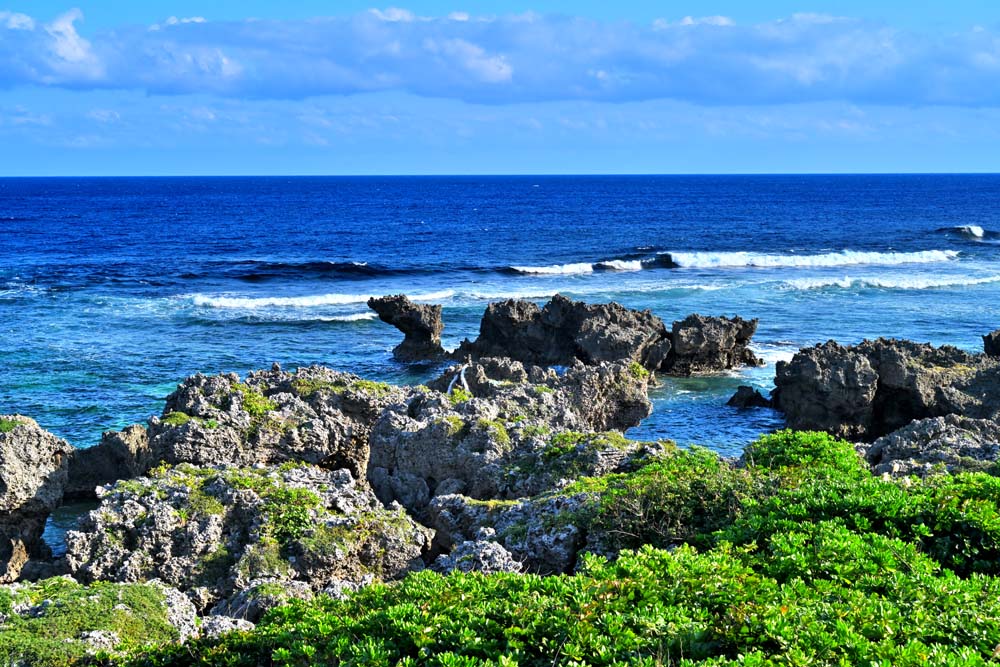 【沖永良部島】 隆起サンゴ礁の島で、四季を通じて暖かく、熱帯・亜熱帯の花が咲いています。 東洋一の鍾乳洞・昇竜洞のほかに200～300もの大鍾乳洞群があることから、「花と鍾乳洞の島」ともいわれています。 【ウジジ浜公園】 長い歳月をかけて浸...