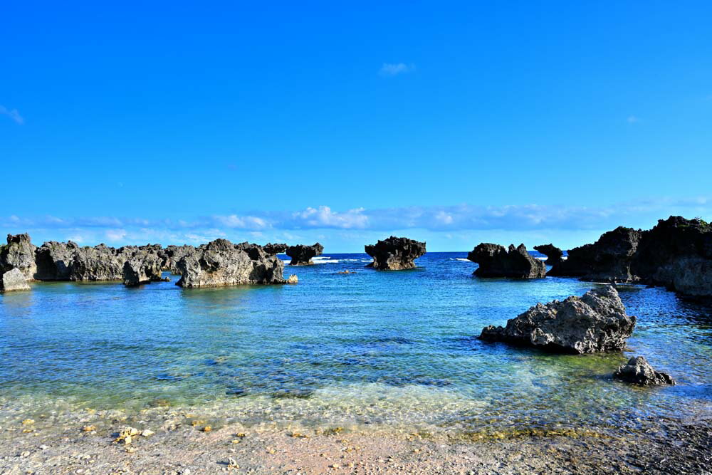 【沖永良部島】 隆起サンゴ礁の島で、四季を通じて暖かく、熱帯・亜熱帯の花が咲いています。 東洋一の鍾乳洞・昇竜洞のほかに200～300もの大鍾乳洞群があることから、「花と鍾乳洞の島」ともいわれています。 【ウジジ浜公園】 長い歳月をかけて浸...