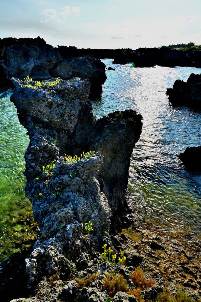 風景写真ポスター 沖永良部島 ウジジ浜 10 インテリア アートポスター 写真 グラフィック ウォールデコ 模様替え 雰囲気作り 風水 リビング ダイニング オフィス ホール Okrb-09-A