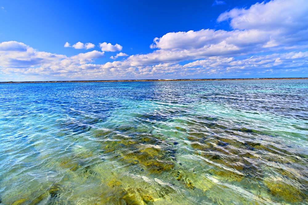 【沖永良部島】 隆起サンゴ礁の島で、四季を通じて暖かく、熱帯・亜熱帯の花が咲いています。 東洋一の鍾乳洞・昇竜洞のほかに200～300もの大鍾乳洞群があることから、「花と鍾乳洞の島」ともいわれています。 断崖絶壁の豪快な地形が魅力の島ですが、実は大小110ものビーチが点在しています。 【ビーチロック】 海浜堆積物が固まってできた板状の石灰質の砂礫岩で、鹿児島県の指定天然記念物になっています。 干潮時には、沖のリーフまでの間がプールのようになります。 地元のサーファーにはよく知られているサーフポイントです。 ◆丈夫な光沢用紙にプリントしていますので、きめ細かく発色がきれいです。 ◆サイズ A1 ：84.1×59.4cm　　　A2： 59.4×42.0cm◆風景写真ポスター 沖永良部島 ビーチロック 03◆ ◆風水では絵画より、写真を飾る方が効果が高いと言われます。 ◆絵画と異なりリーズナブルな料金で飾ることができ、その景色を臨場感たっぷりに味わっていただくことができます。 【飾り方と用途】 オフィスのアクセント、リビングや玄関のインテリアに、お部屋の雰囲気作りに、また旅の思い出に飾ってください。 おしゃれなインテリアアートとして、お祝いやプレゼントにもお薦めです。新築や引っ越しのお祝い、入学や卒業のお祝い、成人式やご結婚のお祝い、お誕生日のプレゼント、クリスマスプレゼントなど、各種ギフト用品として幅広くお使いください。 きっと喜んでいただけることでしょう。 パソコンのモニターの色と、実際の商品の色が多少異なることがあります。