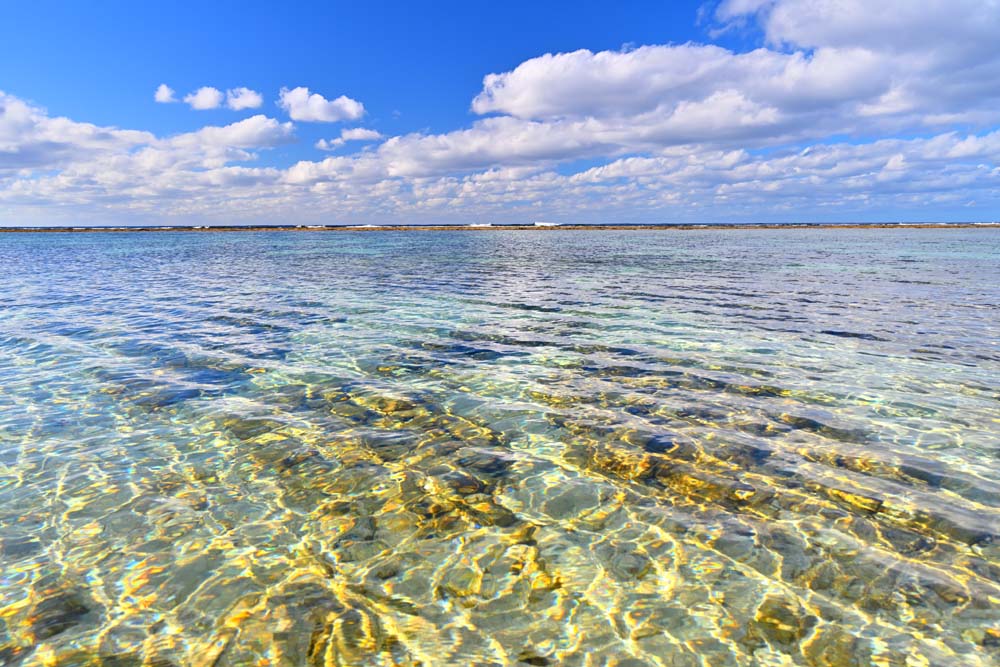 風景写真ポスター 沖永良部島 ビーチロック 07 インテリア 写真 プレゼント ギフト お祝い 結婚 新築 出産 誕生日 入学 卒業 成人 就職 記念日 年祝い...