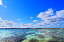風景写真ポスター 沖永良部島 ビーチロック 13 インテリア 写真 プレゼント ギフト お祝い 結婚 新築 出産 誕生日 入学 卒業 成人 就職 記念日 年祝い...