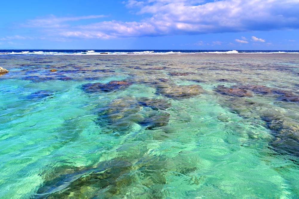 風景写真パネル 沖永良部島 笠石海浜公園 02 雄大 癒やし 解放感 おしゃれ モダン インテリア 壁飾り 壁掛け 額要らず 模様替え 雰囲気作り 玄関 リビング オフィス ロビー okrb-29-m25