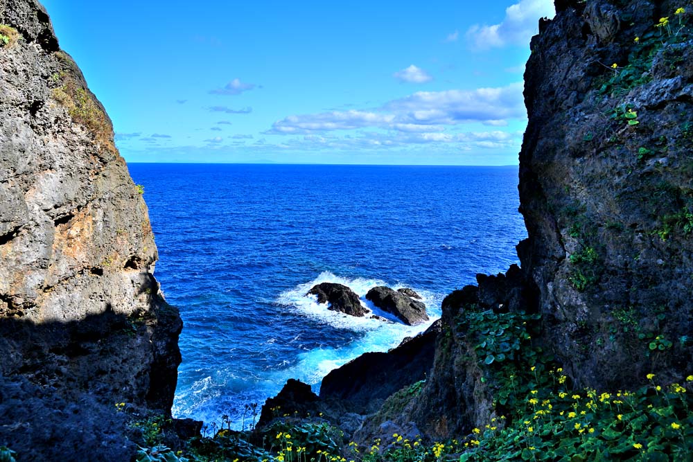 風景写真ポスター 沖永良部島 田皆岬 （たみなみさき） ツワブキ 02 インテリア アートポスター プレゼント ギフト お祝い 結婚 新居 出産 誕生日 入学 卒業 成人 就職 開店 開業 記念日 Okrb-63-A