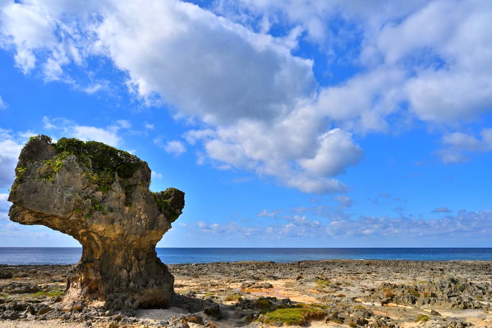 風景写真ポスター 徳之島 犬の門蓋 13 インテリア プレゼント ギフト お祝い 開店 開業 結婚 新築 出産 誕生日 入学 卒業 成人 就職 記念日 Tkns...