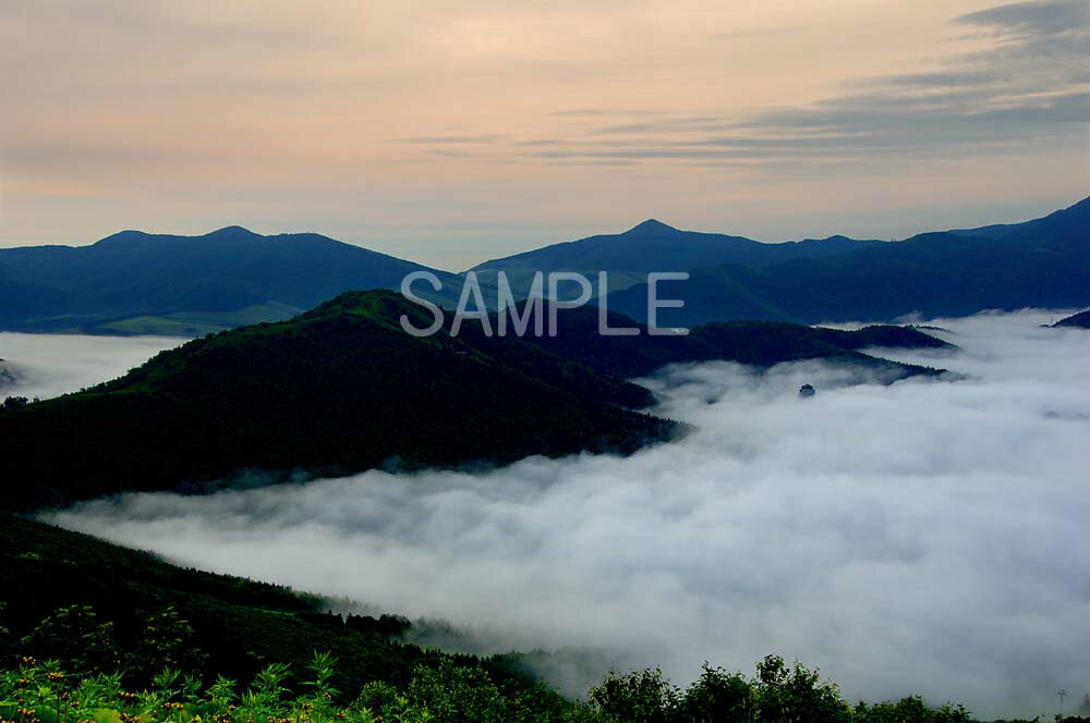 北海道トマム 雲海 4切W 風景写真 4W-278