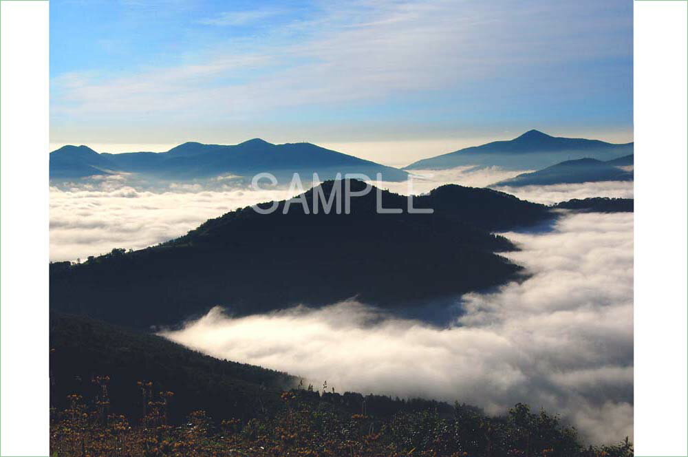 風景写真ポスター 北海道 トマムの山に広がる神秘の世界 — 美しき雲海 osp-283