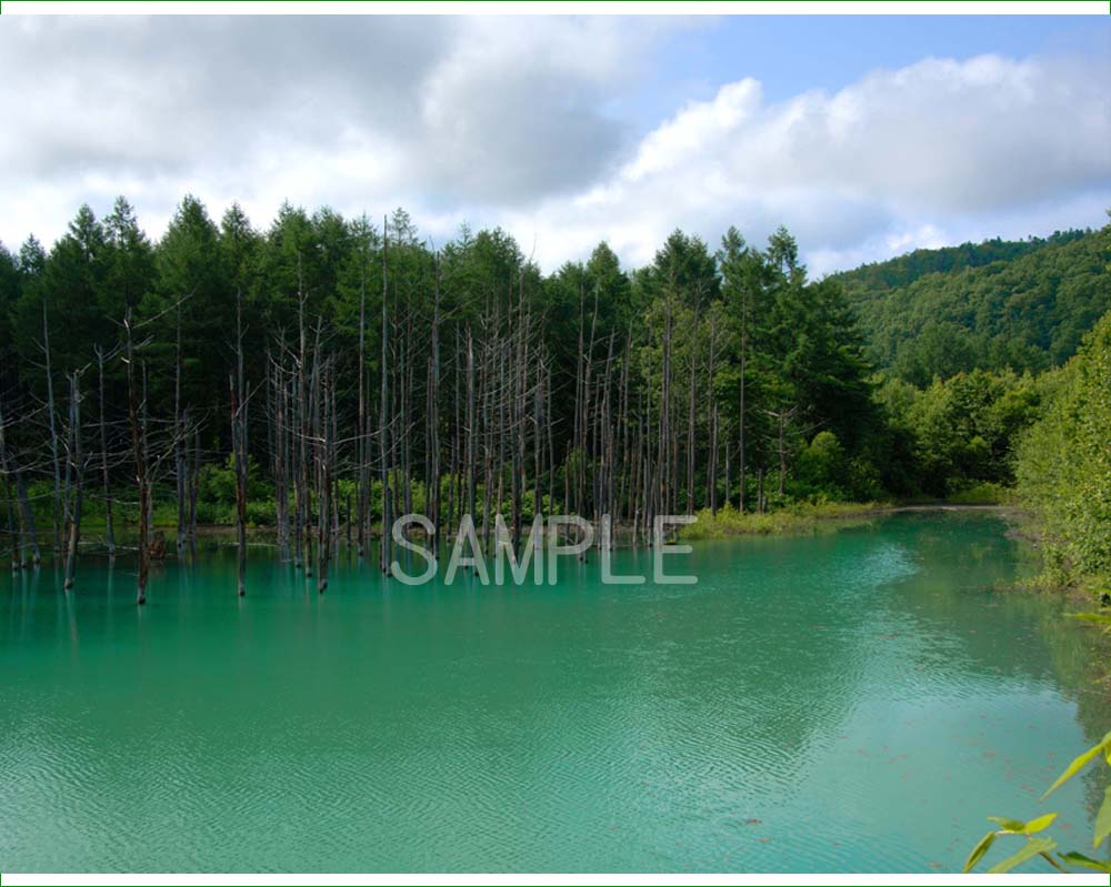 ◆アルミニウムを含む白ひげの滝の水が流れ込み、神秘的な世界を創りだしている青の池。 時間や季節などによって、その青は様々な表情を見せ、コバルトブルーとも、エメラルドブルーとも。 一生に一度は見てみたい絶景！ 最高級の素材とこだわりのプリントで、この風景を再現しました。 ◆サイズ: 59.4×46cm◆風景写真ポスター 北海道 美瑛 白金 神秘の青い池◆ ◆風水では絵画より、写真を飾る方が効果が高いと言わます。 ◆絵画と異なり、リーズナブルな料金でスペースを飾ることができ、その景色を臨場感たっぷりに味わうことができます。 【飾り方と用途】 お好みの額に入れたり、ボードに貼り付けたりして、オフィスのアクセント、リビングや玄関のインテリアとして、癒やしの空間、お部屋の雰囲気作りに、旅の思い出として飾ってください。 おしゃれなインテリアアートとして、お祝い、ギフトにお薦めです。 新築や引っ越しのお祝い、入学や卒業のお祝い、成人式やご結婚、お誕生日のプレゼント、クリスマスプレゼントなど、各種ギフト用品として幅広くお使いください。きっと喜んでいただけることでしょう。 パソコンのモニターの色と、実際の商品の色が多少異なることがあります。