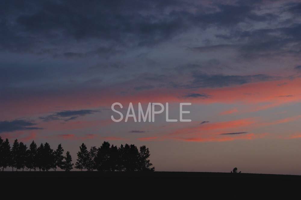 北海道 美瑛 セブンスターの丘 夕暮れ 4切W 風景写真 4W-338