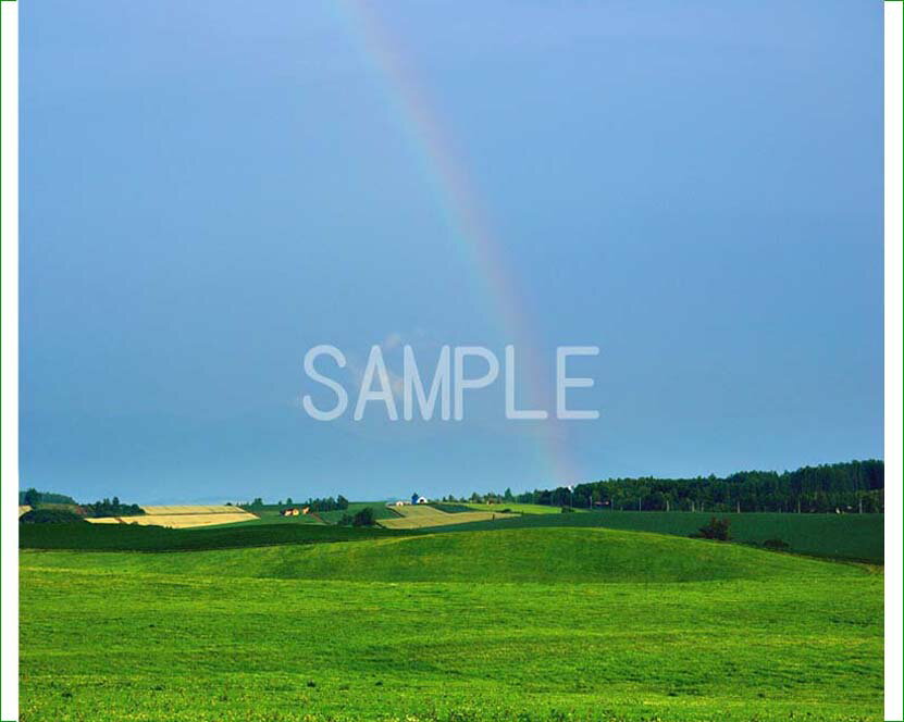 風景写真ポスター 北海道 美瑛 夕方間際の雨上がりの虹 osp-370