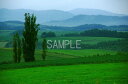 北海道 美瑛 4切W 風景写真 4W-371
