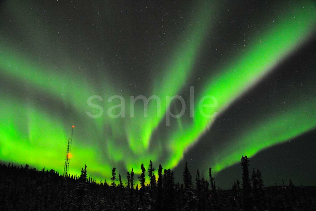 オーロラ アラスカ フェアバンクス 4切W 風景写真 4W-391