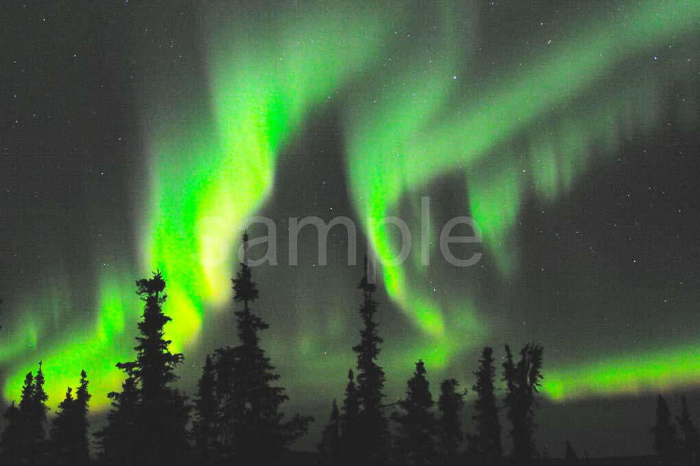 風景写真ポスター アラスカ オーロラ 空から降り注ぐ奇跡 神秘の光に包まれる瞬間 pst-413