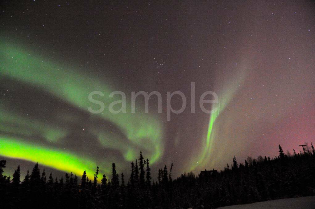 オーロラは、天体の極域近辺に見られる大気の発光現象です。アラスカのフェアバンクスは、そのオーロラが見える場所として世界中で知られています。 オーロラが発生する具体的な条件というのはまだはっきりと解明されてはいませんが、北極と南極に近い特定のエリアでだけ見られることが分かっていて、フェアバンクスの他にカナダのイエローナイフなどが有名です。 ◆サイズを2種類ご用意いたしました。 A1：　84.1×59.4 センチ、A2：　59.4×42.0センチ◆風景写真ポスター アラスカ オーロラ 空から降り注ぐ奇跡◆ ◆風水では絵画より、写真を飾る方が効果が高いと言わます。 ◆絵画と異なり、リーズナブルな料金でスペースを飾ることができ、その景色を臨場感たっぷりに味わうことができます。 【飾り方と用途】 お好みの額に入れたり、ボードに貼り付けたりして、オフィスのアクセント、リビングや玄関のインテリアとして、癒やしの空間、お部屋の雰囲気作りに、旅の思い出として飾ってください。 おしゃれなインテリアアートとして、お祝い、ギフトにお薦めです。 新築や引っ越しのお祝い、入学や卒業のお祝い、成人式やご結婚、お誕生日のプレゼント、クリスマスプレゼントなど、各種ギフト用品として幅広くお使いください。きっと喜んでいただけることでしょう。 パソコンのモニターの色と、実際の商品の色が多少異なることがあります。