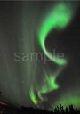オーロラ アラスカ フェアバンクス 4切W 風景写真 4W-421